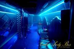 Amber Party Bus (13)